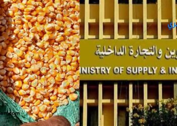 تفاصيل الجلسة 90 لـ بورصة السلع للتداول على الذرة المستوردة وفول الصويا اليوم