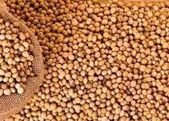 عمليات التفتيش على صادرات فول الصويا الأمريكية أقل من التوقعات عند 1.11 مليون طن