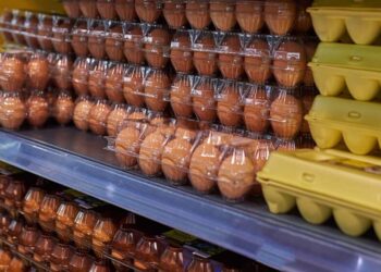 40% ارتفاعا في 2023.. عاصفة كاملة بسوق البيض الروسي والسلطات تتدخل