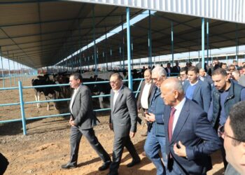 وزير الزراعة يطلق مبادرة "احلم" لتمويل رؤوس الأبقار عالية الإنتاجية لصغار المربين في الشرقية
