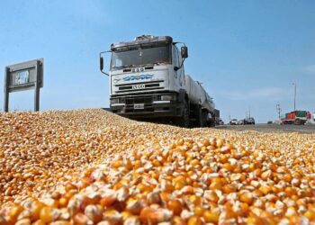 الأرجنتين تستأنف تسجيل تراخيص تصدير الحبوب بعد الإعلانات الاقتصادية