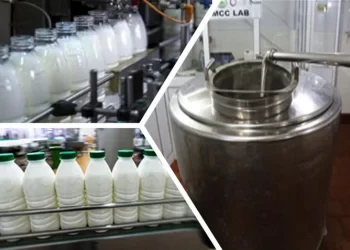 بيطري المنيا تنظم ورشة عمل حول مشروع لتعزيز الإنتاجية لصغار منتجي الألبان بالتعاون مع الفاو