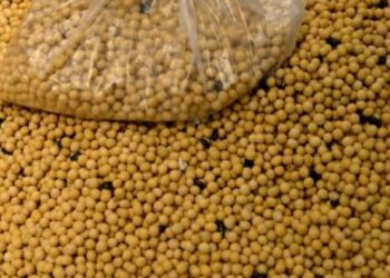 استهلاك الصين لكسب الصويا في تصنيع الأعلاف ينخفض ​​بنسبة 11% في 2023
