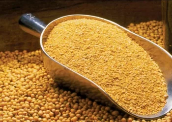 حجم سوق معالجة فول الصويا في الولايات المتحدة هي الأعلى على الإطلاق خلال فبراير