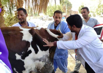 بيطري الشرقية ينظم قافلة بيطرية مجانية لعلاج مواشي صغار المربين