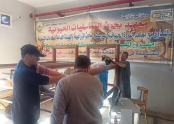 "معهد التناسليات الحيوانية" ينظم قافلة بيطرية مجانية لعلاج مواشي صغار المربين في أسيوط
