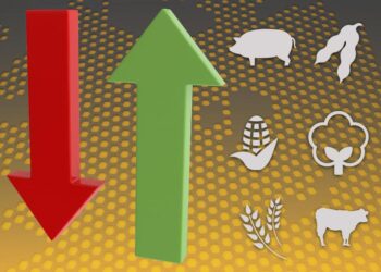 ارتفاع أسعار فول الصويا بفضل الصفقات الرخيصة والسوق تتطلع إلى الإمدادات البرازيلية
