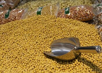 الزراعة الأمريكية تخفض تقديرات إنتاج فول الصويا البرازيلي بنسبة 2.16%