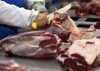 صادرات لحوم الابقار تصل إلى 123 ألف طن في الأسبوع الثالث من يناير
