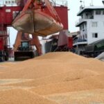 واردات الصين من فول الصويا البرازيلي ترتفع 29% وتقلص حصة الولايات المتحدة