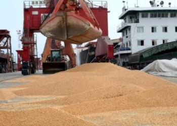 واردات الصين من فول الصويا البرازيلي ترتفع 29% وتقلص حصة الولايات المتحدة