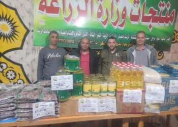 بأسعار مخفضة "الزراعة" تشارك بمنتجاتها في معارض وأسواق السلع الغذائية بجنوب سيناء