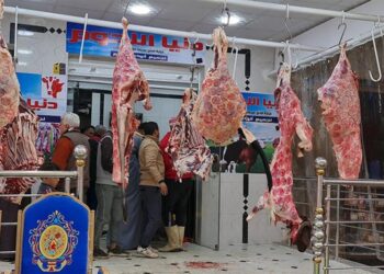 "القصير" يوجه بتكثيف التفتيش على أسواق بيع اللحوم لاستقبال الشهر الكريم