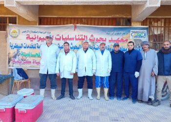 الزراعة ينظم قافلة بيطرية مجانية لعلاج وفحص مواشي صغار المربين في بني سويف