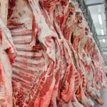 ارتفاع صادرات لحوم البقر البرازيلية بنسبة 28% في يناير