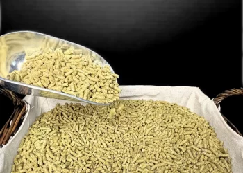 العلاف: شركات العلف تواجه أزمة في توفير الخامات وسط احتكار بعض المستورين والتجار