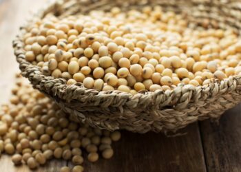 أبيوف يخفض إنتاج فول الصويا في البرازيل إلى 153.8 مليون طن ويقلص توقعات التصدير