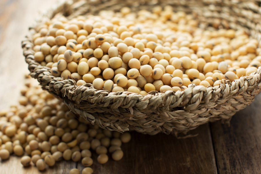أبيوف يخفض إنتاج فول الصويا في البرازيل إلى 153.8 مليون طن ويقلص توقعات التصدير