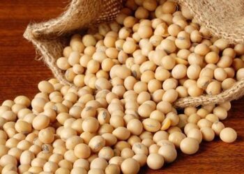 الزراعة الأمريكية تعلن بيع 228 ألف طن من كسب فول الصويا للفلبين