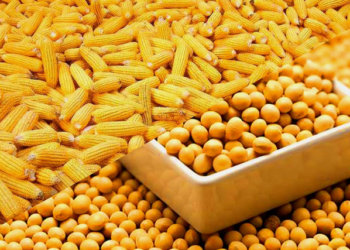 الإمدادات العالمية.