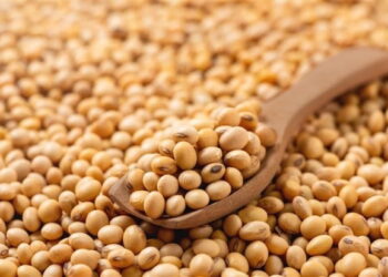 الاتحاد الأوروبي يفرض رسوما جمركية تصل إلى 50% على واردات الحبوب الروسية