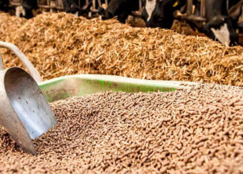 التعاون لأعلاف المواشي: حالة ركود تسيطر على السوق رغم الانخفاضات المتتالية فى الأسعار
