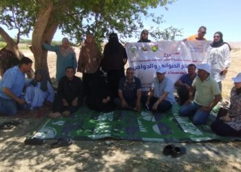 بحوث الصحراء ينفذ 15 مدرسة حقلية للمزارعين في مجال إنتاج الدواجن بجنوب سيناء