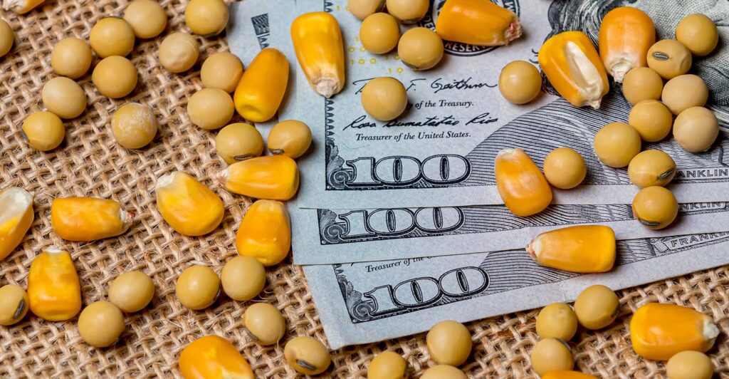 خاص| الدقهلية للدواجن: ارتفاع طفيف بأسعار الخامات.. والسوق منتبه لما يحدث