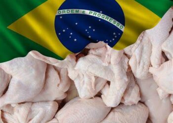 صادرات الدواجن البرازيلية