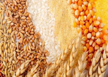 روسيا تخفض ضريبة تصدير القمح.. وتترك الذرة والشعير دون رسوم في الفترة من 15 إلى 21 مايو