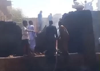 نفوق 3 رؤوس ماشية إثر اندلاع حريق هائل بالأقصر