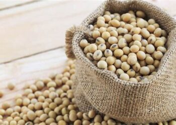 مبيعات فول الصويا الأمريكية تسجل 336.3 ألف طن خلال الأسبوع