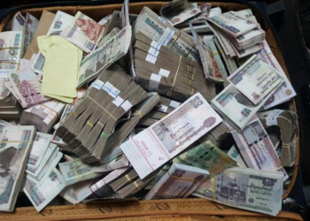 كشف غموض سرقة 22 مليون جنيه من مصنع الأبرار للأعلاف بأبو حماد الشرقية