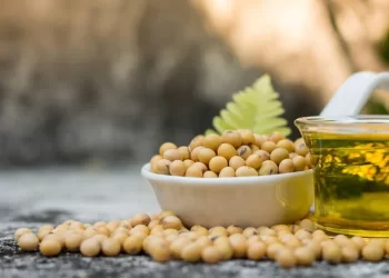 صادرات الأرجنتين من كسب فول الصويا في مايو الأعلى منذ عام 2020