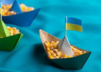 صادرات أوكرانيا من الحبوب تقفز 67% في الموسم الجديد