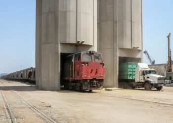 ميناء دمياط يصدر 1510 طن كسب فول صويا و 2489 طن علف