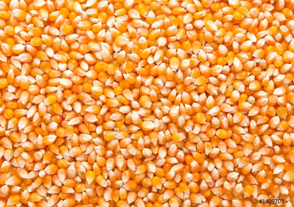 واردات الذرة