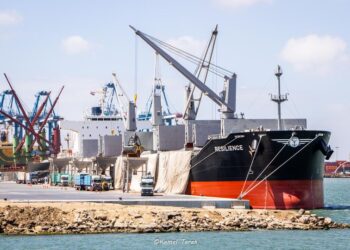 ميناء دمياط يستقبل 8400 طن ذرة خلال 24 ساعة
