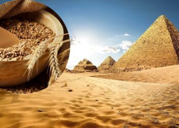 أوكرانيا تواجه منافسة شرسة في سوق الحبوب المصري
