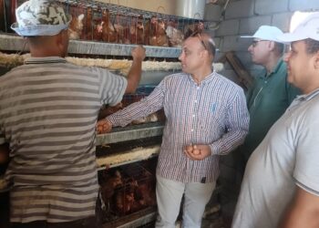 بحوث الصحراء يطلق قافلة بيطرية لدعم التنمية الزراعية بسيناء