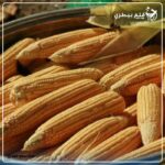 العقود الآجلة للذرة تحقق مكاسب في البورصة البرازيلية بنهاية شهر أغسطس (تقرير)