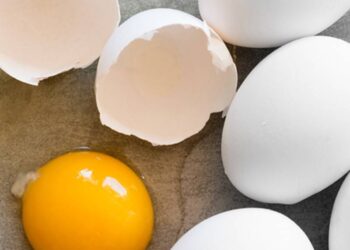 بلغاريا تطالب المفوضية الأوروبية وقف واردات البيض من أوكرانيا