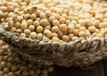 بورصة الحبوب| العقود الآجلة لفول الصويا تنهي الأسبوع على انخفاض بسبب خسائر المنتجات