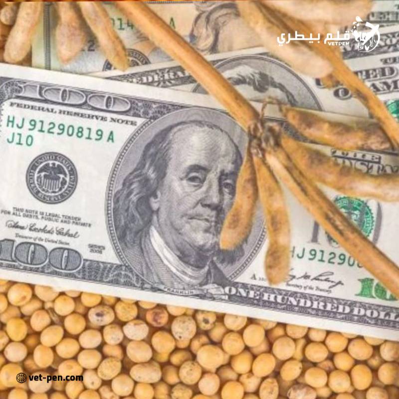 العقود الآجلة لفول الصويا