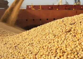 ارتفاع عمليات التفتيش الأسبوعية على فول الصويا الأمريكي بنسبة 10%