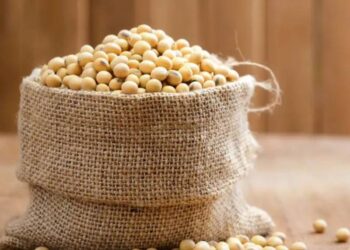 البرازيل تسجل رقماً قياسياً في محاصيل الحبوب والبذور الزيتية