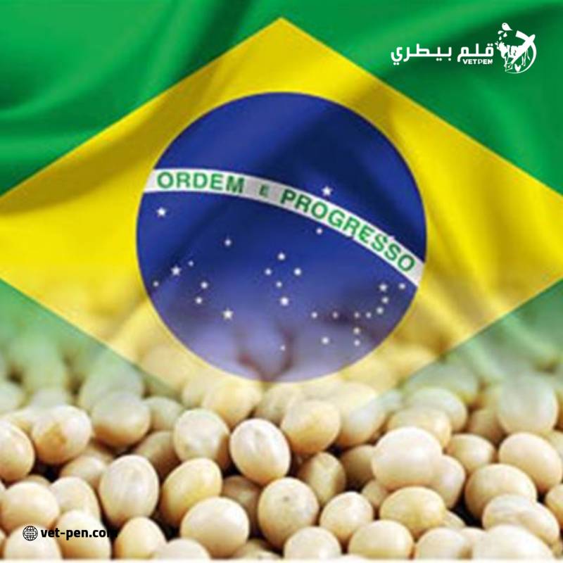 زراعة فول الصويا