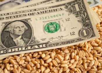 أسعار القمح الأوكراني آخذة في الارتفاع رغم انخفاض أسعار الأسهم بنسبة 4٪ خلال الأسبوع