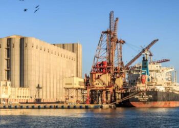 ميناء دمياط يستقبل 12931 طن قمح و 9000 طن ذرة
