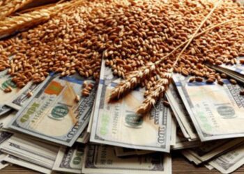 خبراء: صادرات القمح الروسي تصل إلى مستويات قياسية في سبتمبر
